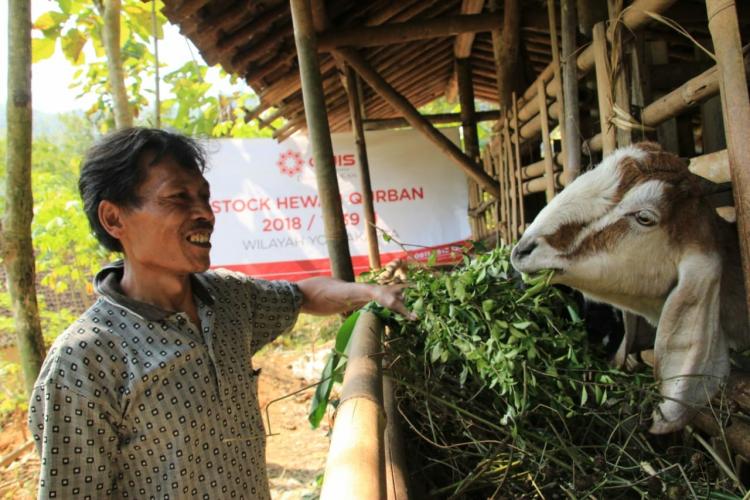 Menyiapkan Qurban Istimewa